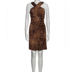 Animal Print Dress